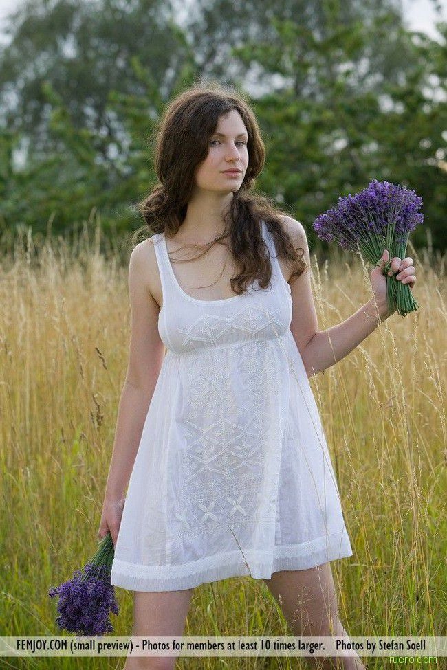 Susann Lavendel : полевые цветы