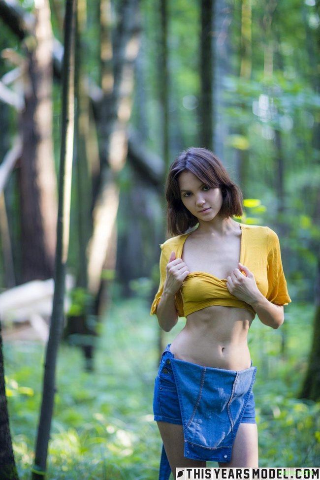 Lara : краски леса
