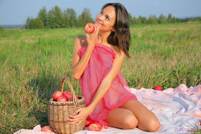 Ingrid : яблоки в поле