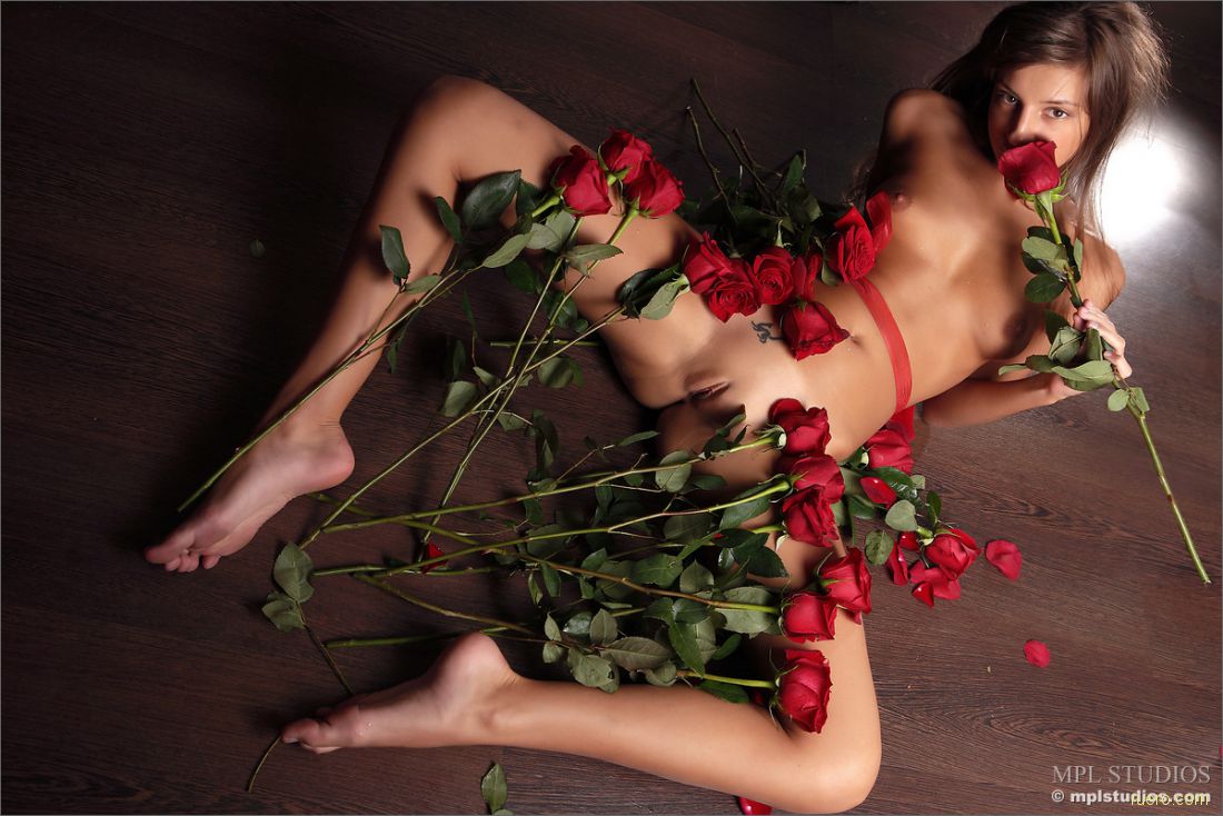 Tara : этюд с розами