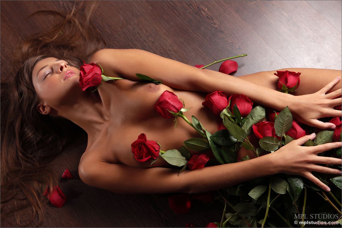 Tara : этюд с розами