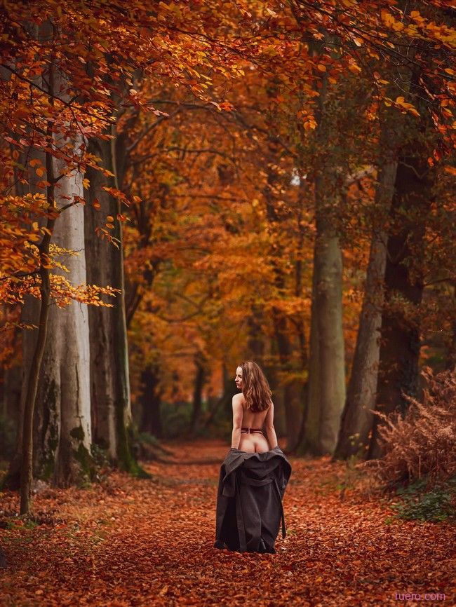 Осенняя аллея