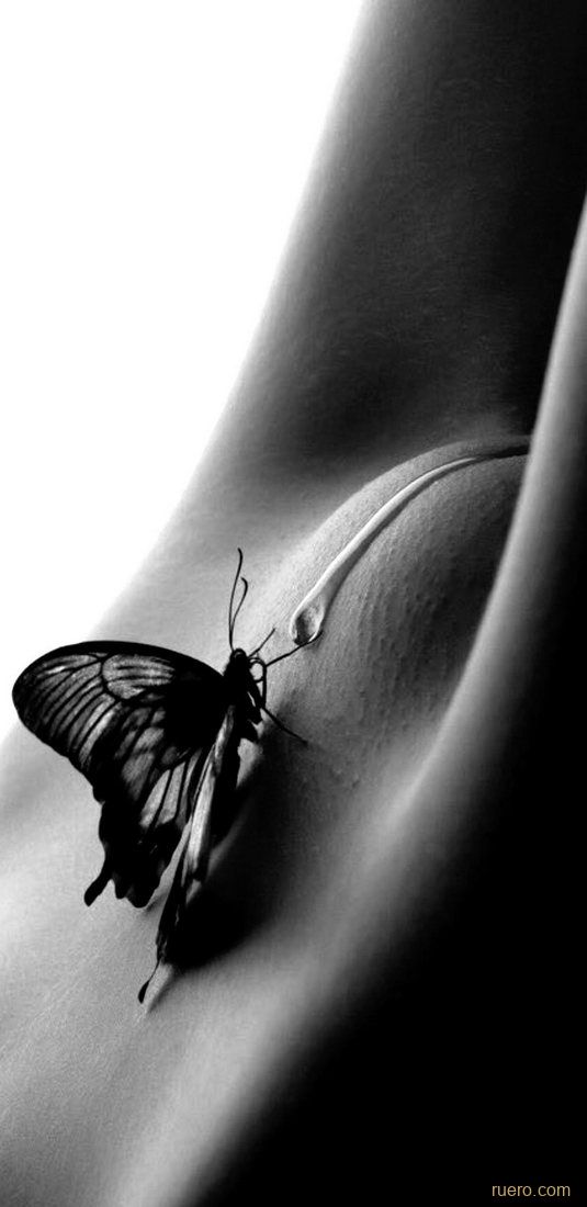 Капля нектара