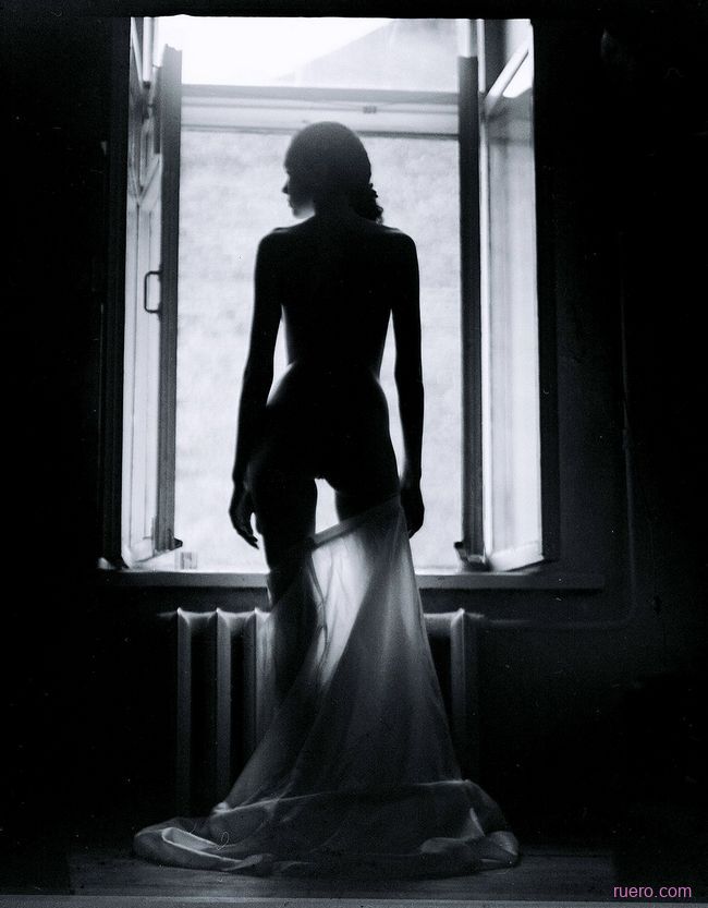 Свет нового дня